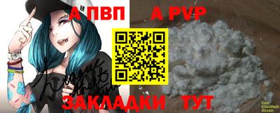 стафф Малгобек