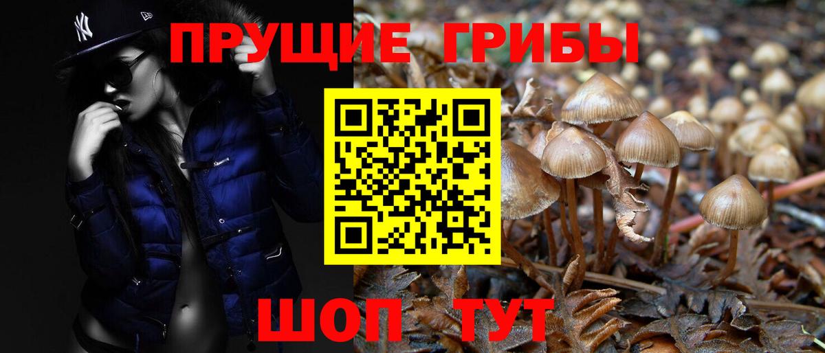 Псилоцибиновые грибы ЛСД Улан-Удэ